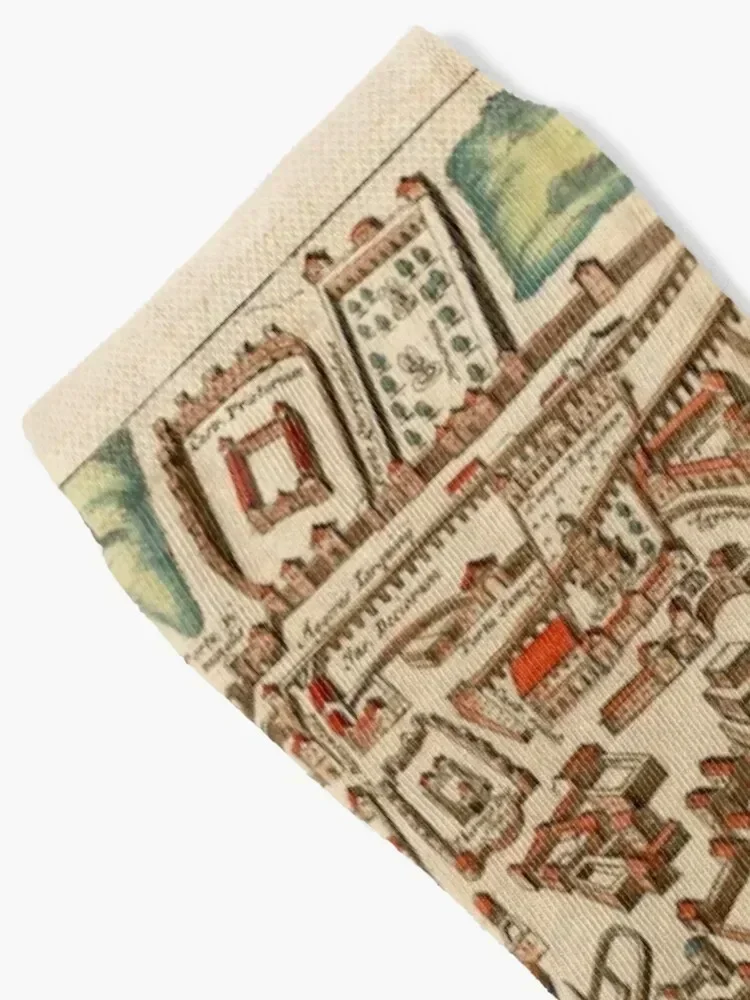 Vintage Map of Rome Italy (1660) Socks ankle warm winter hiphop Wholesale Men's Socks Women's