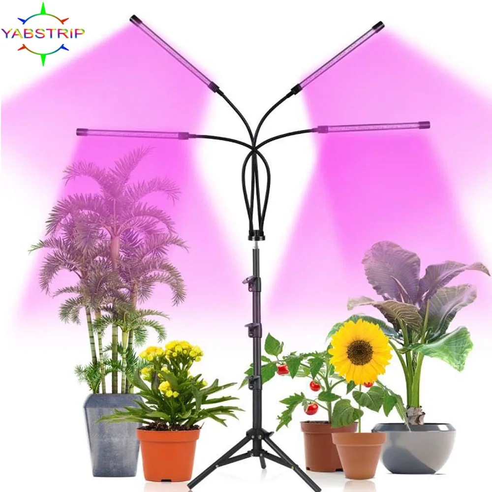 Phyto Lampe Timer Volle Spektrum USB Wachsen Licht Lampe Für Pflanzen Volle Spactrum Lichter Für Pflanzen Garten Blumen Kräuter Wachsen box