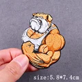 PE5806CT
