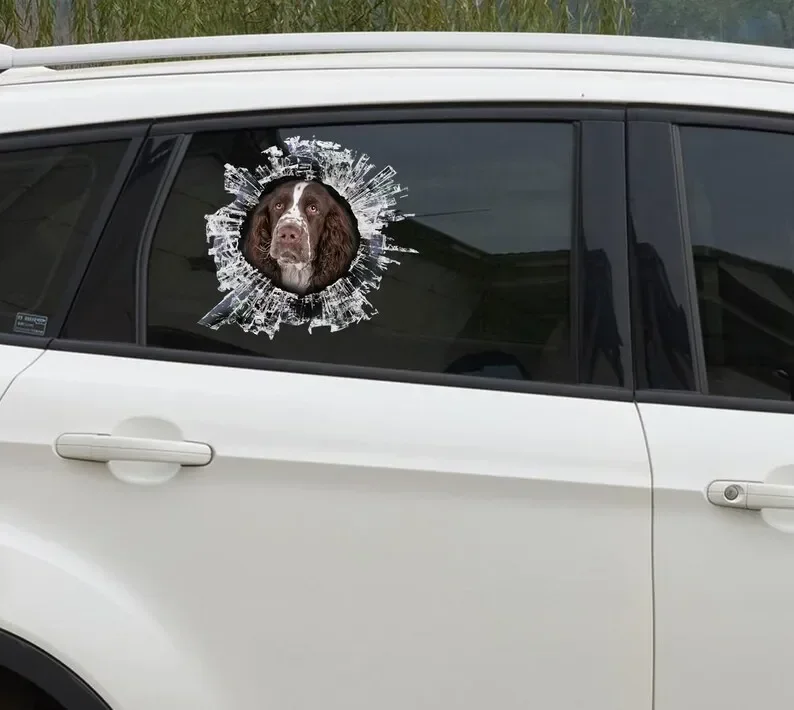 Adesivo, adesivo per finestra Spaniel Springer inglese, adesivo per auto, decalcomania per auto, decalcomania divertente