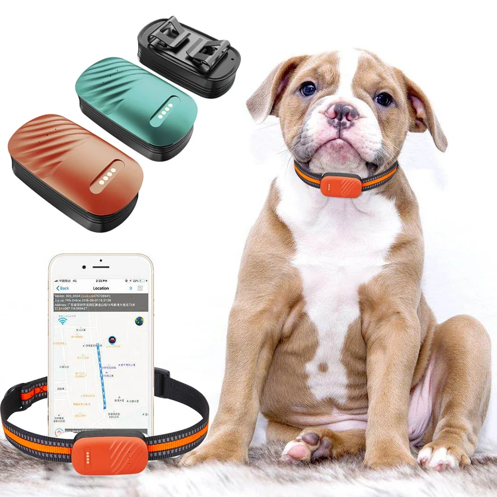 

Best Selling Waterproof Pet GPS Tracker 4G LTE Real Time Dog Cat Animal Tracking Device