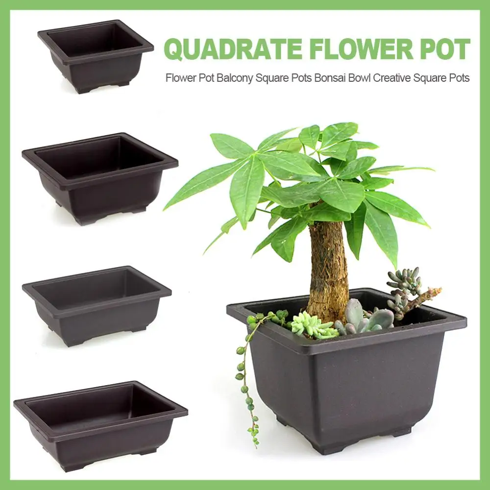 Training Pots or Tray Plastic Bonsai Plants Pot Square for Flower Succulent Plastic Plant Pots with Square Trays Planter