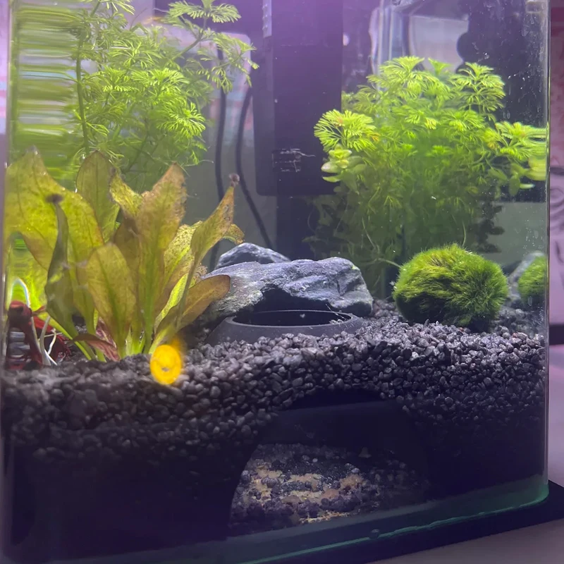 1PC Aquarium cave Fish tank underground hiding cave For Aquatic Pets To Breed, Play AndRest Fish Tank Ornaments