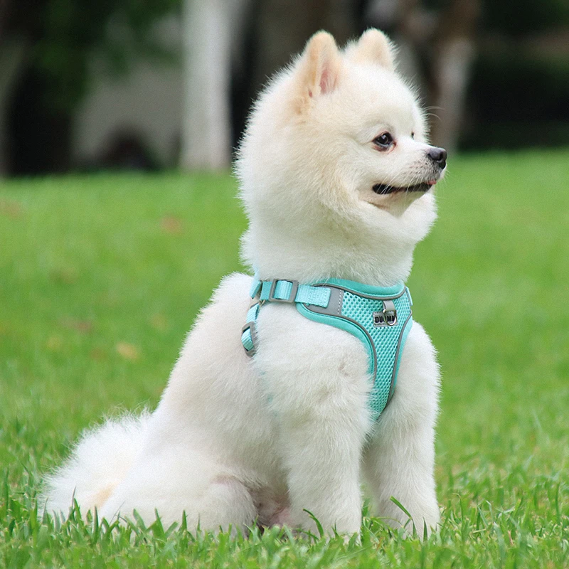 Summer Pet Outdoor Walking Supplies Reflective Breathable Puppy Dog Harness and Leash Set for Small Dogs  Pomeranian Schnauzer