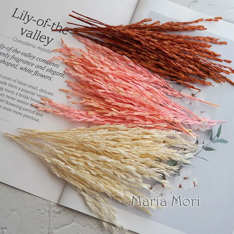 5 جرام/Broomcorn مصبوغ الزهور الطبيعية المجففة ابيض اليدوية DIY المواد الراتنج الايبوكسي الغراء الروائح الشموع الزهور