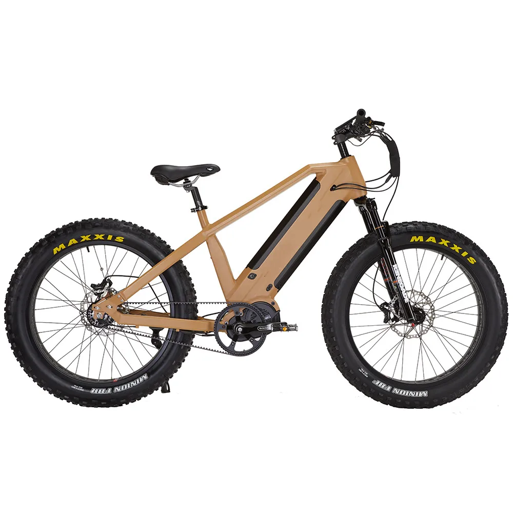 14 Speed Electric Mountain Bike Snow Bicycle 1000W Bafang M620 Mid Motor Ebike Dual 15Ah Battery Electric Bicycle