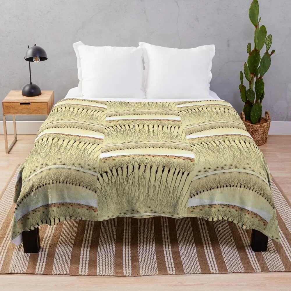 

Drawing of Hippocampus by Cajal Throw Blanket Warm Weighted Plaid Summer Beddings Blankets