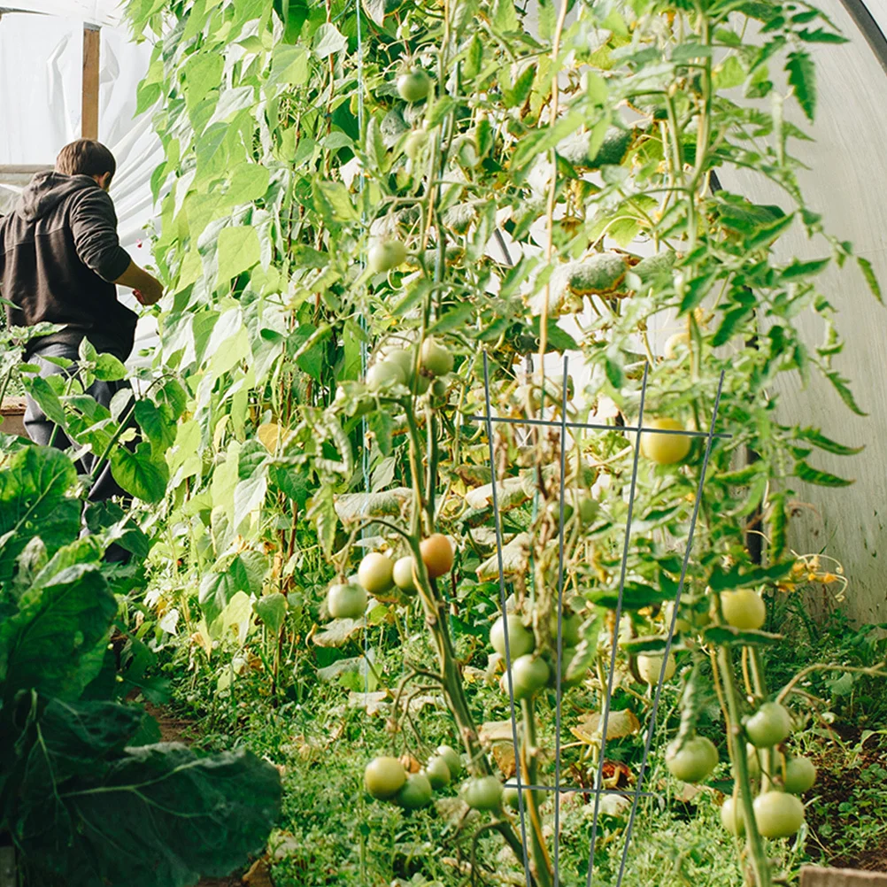 

2pcs Metal Plant Climbing Rack Garden Trellis For Indoor Outdoor Support Vine Plants Holder Plant Support Rack Garden Supplies