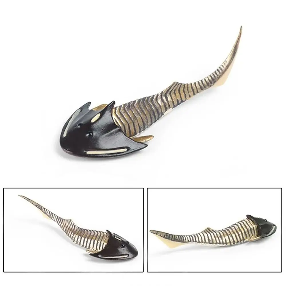 Prähistorische Ozean-Tierfigur Nautilus Anomalocaris Meereslebewesen-Figuren Simulation pädagogische Trilobit-Figurensammlung