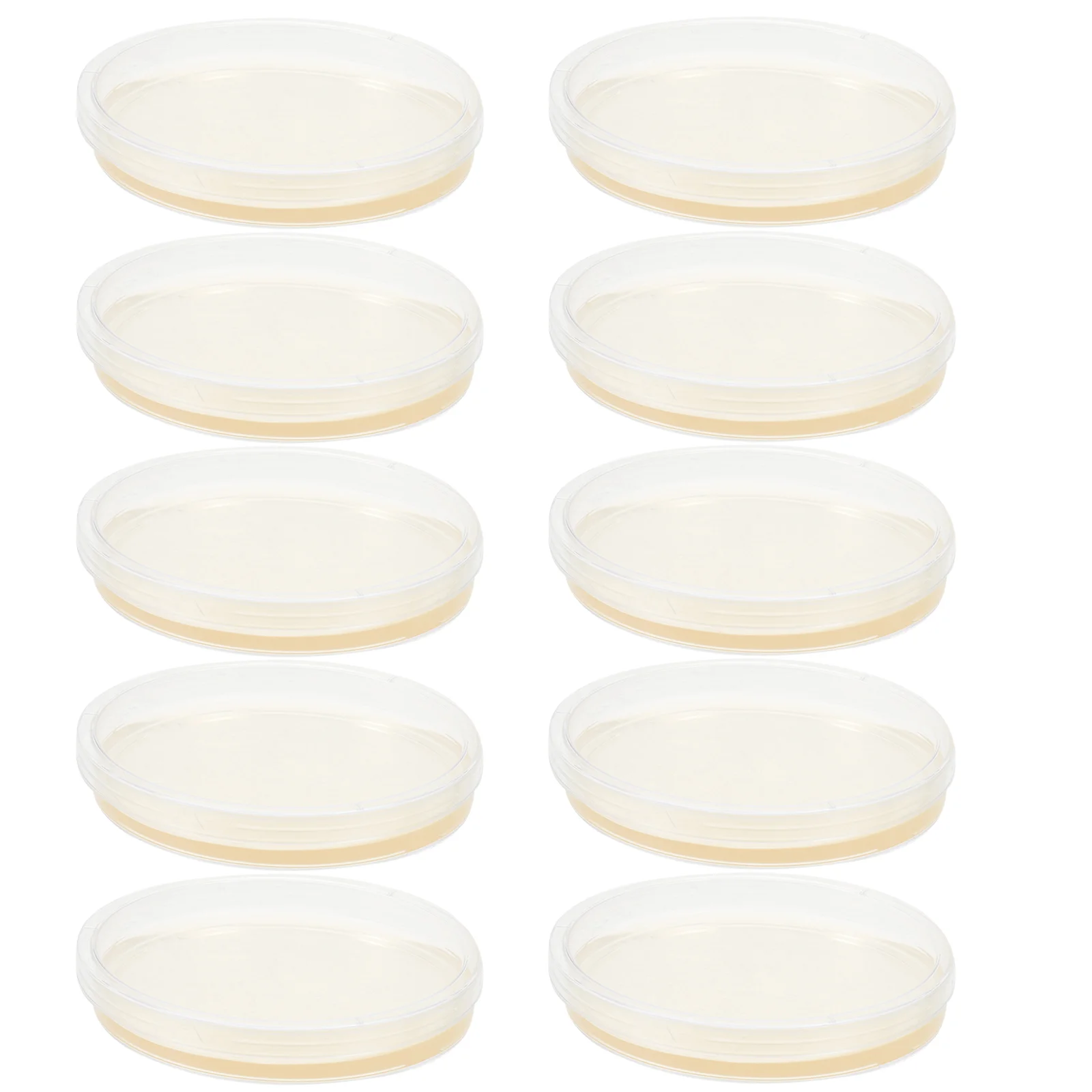 10 Pcs Nutrient Agar Plate Tank Toy Prepoured Petri Plates Tableware Dish Laboratory Supplies for Experiment Child