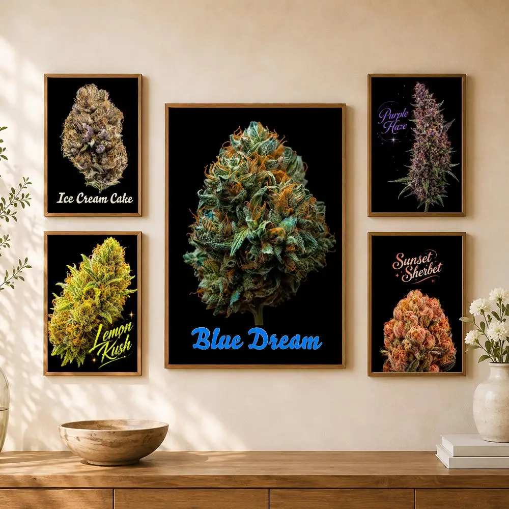 Cannabis Flower Bud Strains Colorful Botanical Black Background Poster Home Room Cafe Club Decor Aesthetic Art Wall Painting