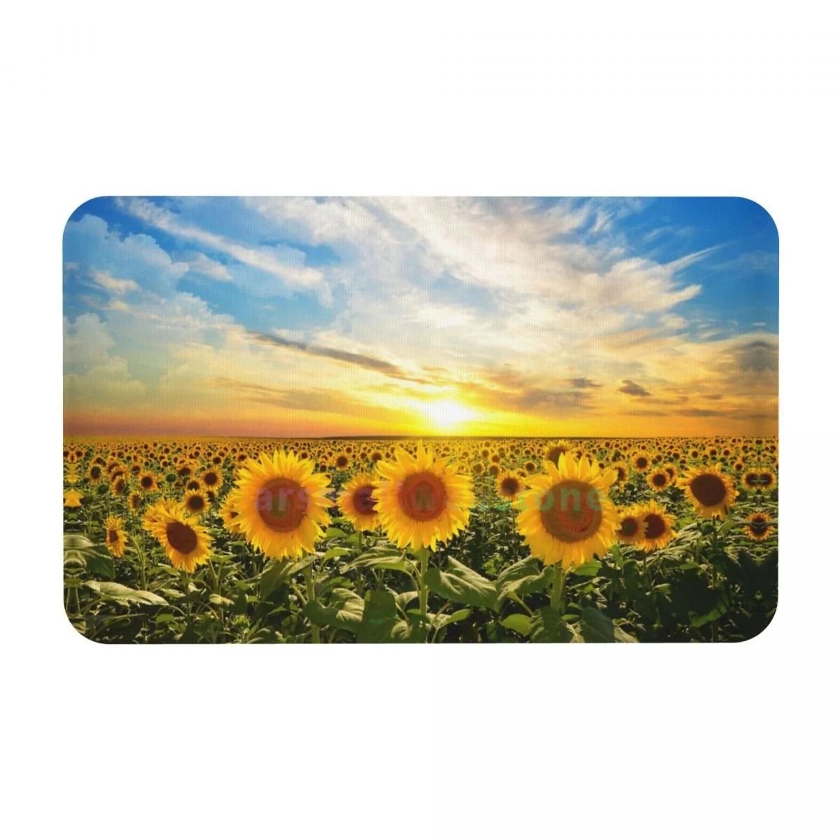 Sunflower Diatom mud cushion absorbent quick drying mat bathroom door mat toilet diatomaceous earth non-slip foot mat