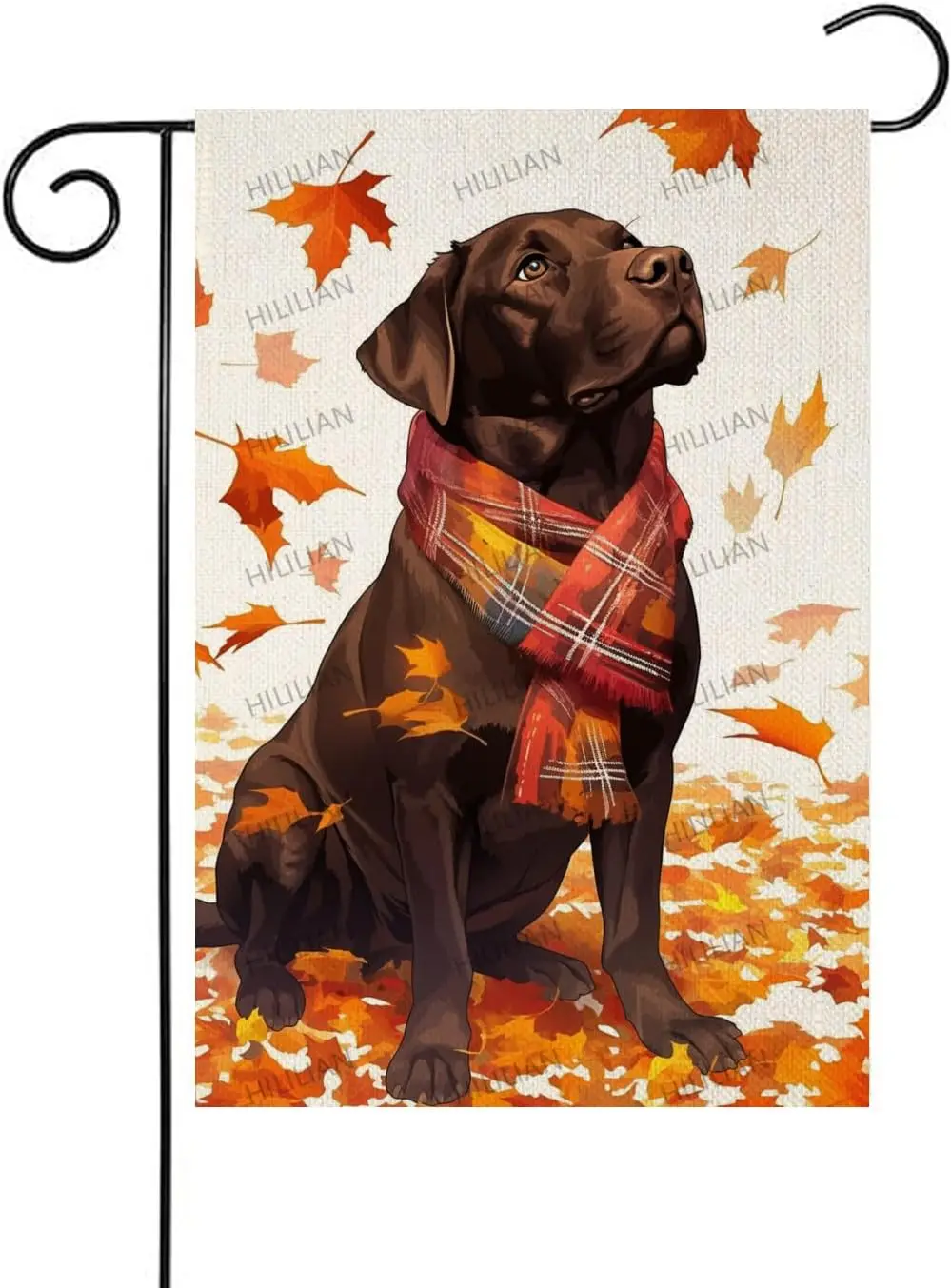Chocolate Labrador … - image
