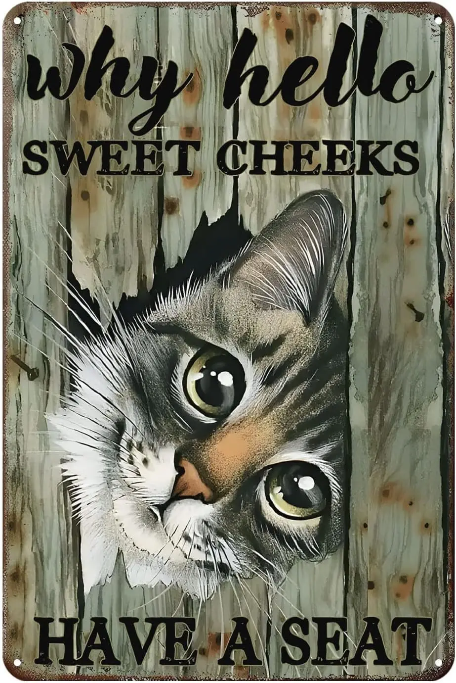 Vintage Metallschilder „Why Hello Sweet Cheeks“ – Lustiges Tabby-Katzen-Schild aus Zinn, schicke Wanddekoration, Eisenplakette, Geschenk für das Wohnzimmer