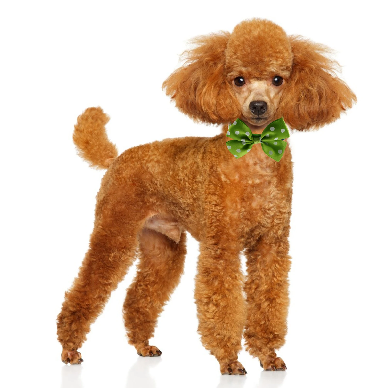 

2 Pcs Pet Hat Accessories Dog Bow Collar Cat Summer Small Animals Cap Cloth Sun Necktie