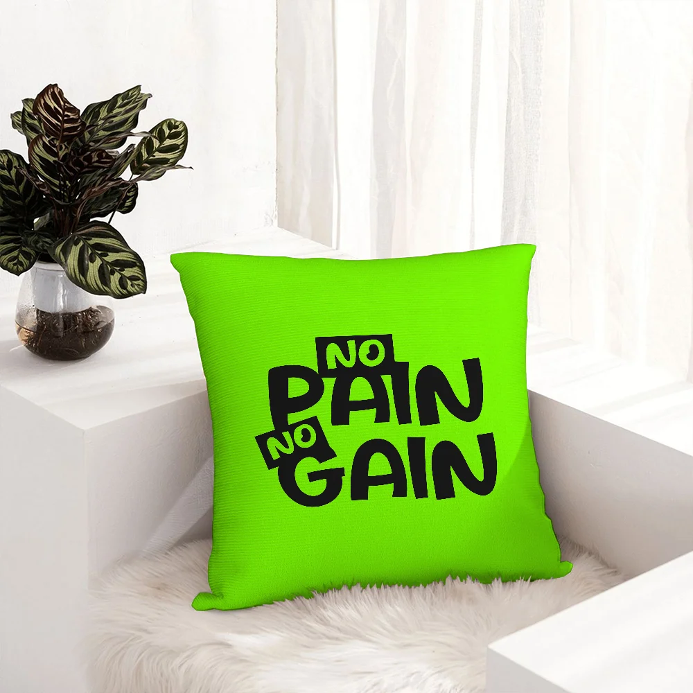 No Pain No Gain Pillow Case Plush Fabric Soft  Pillowcase Double Sided Print Cushion Cover Household Gifts