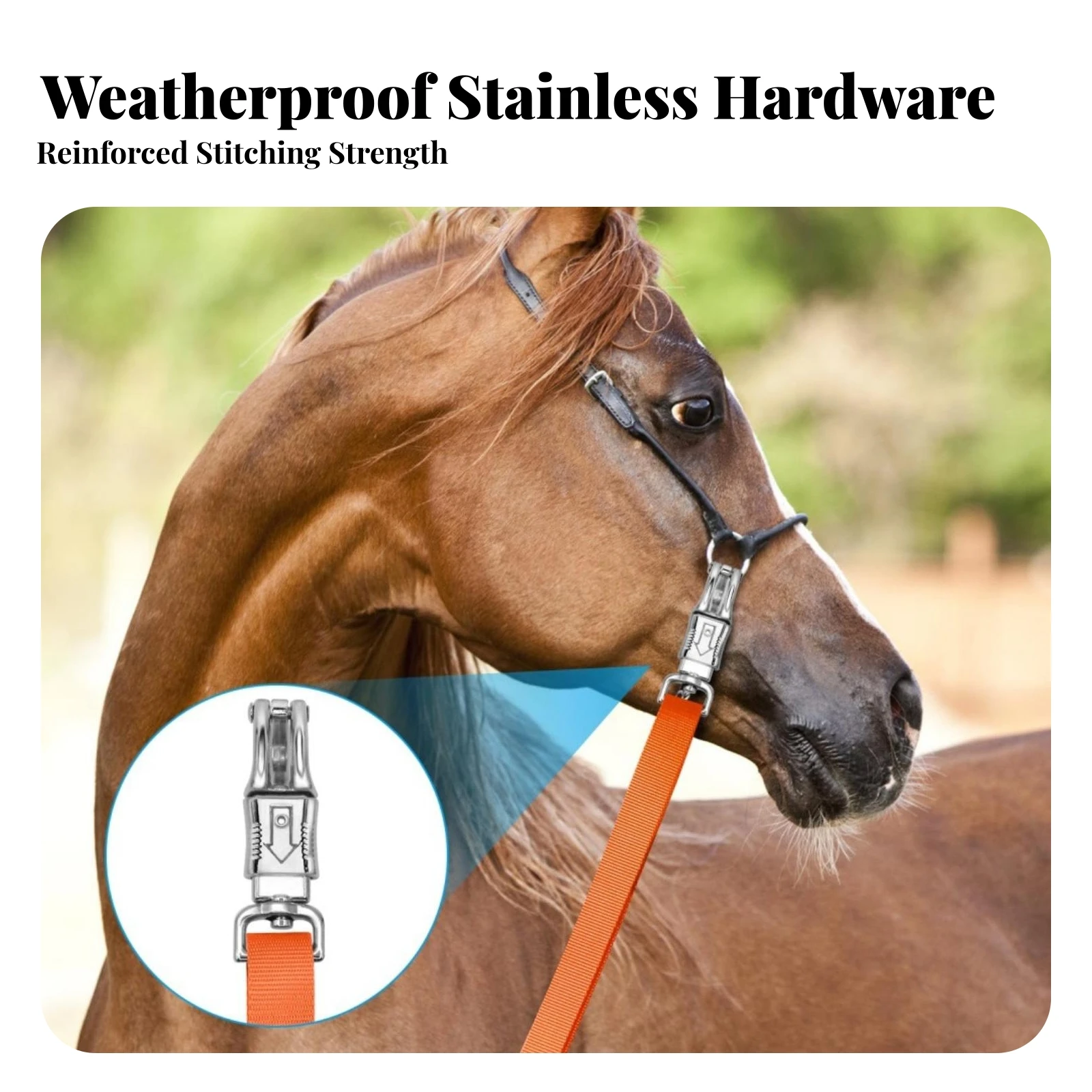 2 Pieces Horse Tie-down Strap Rugged Nylon Horse Strap with Snap Hooks Tack Reinforced Strong for Equestrians, Stables