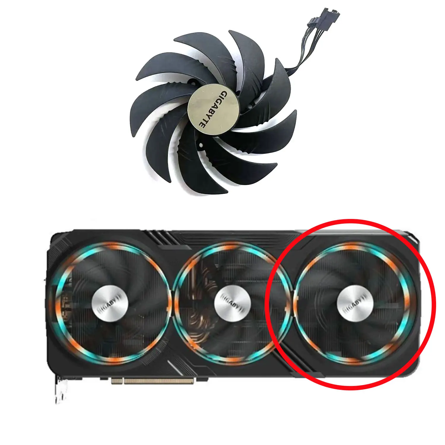 Variant: 1 FAN