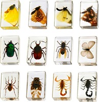 1 Pcs Insect Resin Specimen Bugs Collection Resin Animal Taxidermy Paperweights Kit for Science Education Classroom