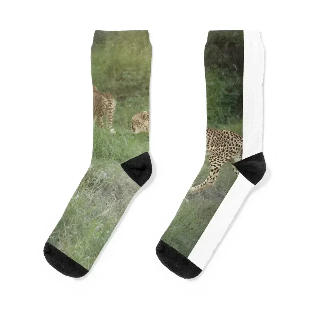

2 Cheetahs Socks funny gifts cute sports and leisure sports stockings Socks For Man Women's