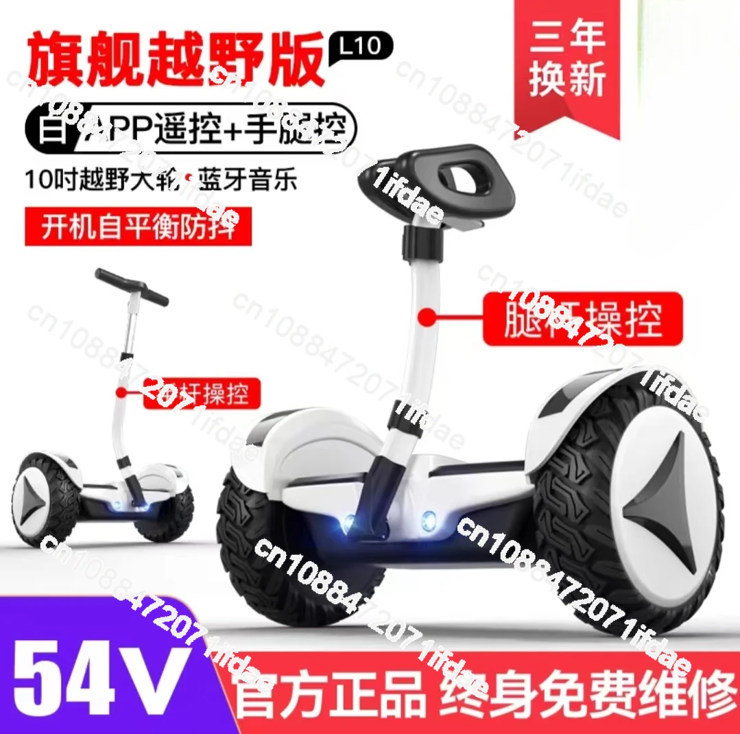 Electric Scooter 2 wheels standing self-balancing hover board 8/10 inch 36/54V Children Adult smart handle leg bar