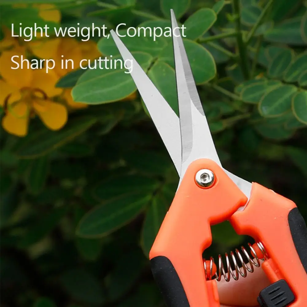 High Quality Stainless Steel Garden Shear Plants Fruit Pruning Shear Easy-to-open Garden Tool Horticulture Leaf Trimmer