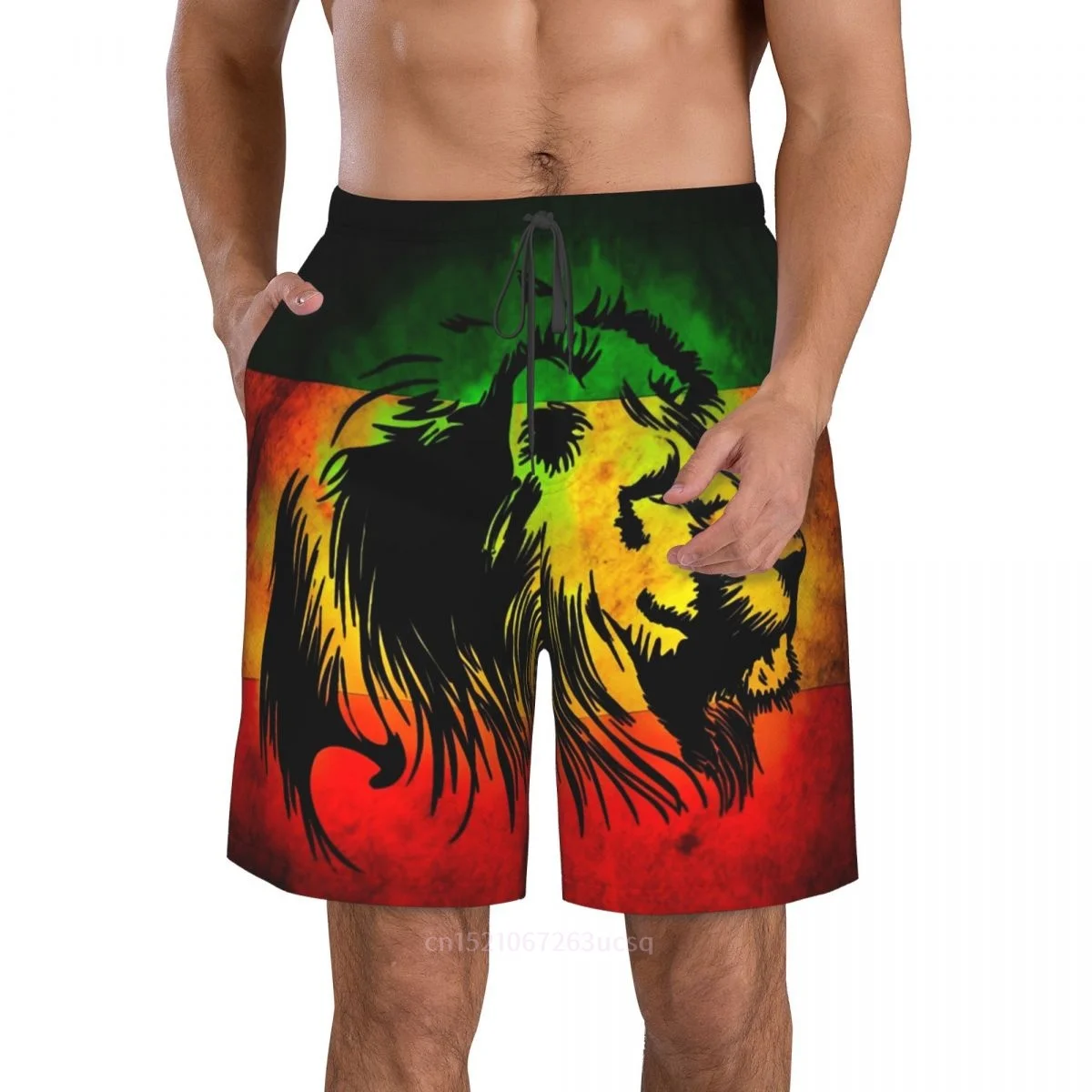 2025 Summer Polyester Lion Jamaica Flag Country 3D Printed Men's Board Shorts Beach Pocket Running Summer Pants