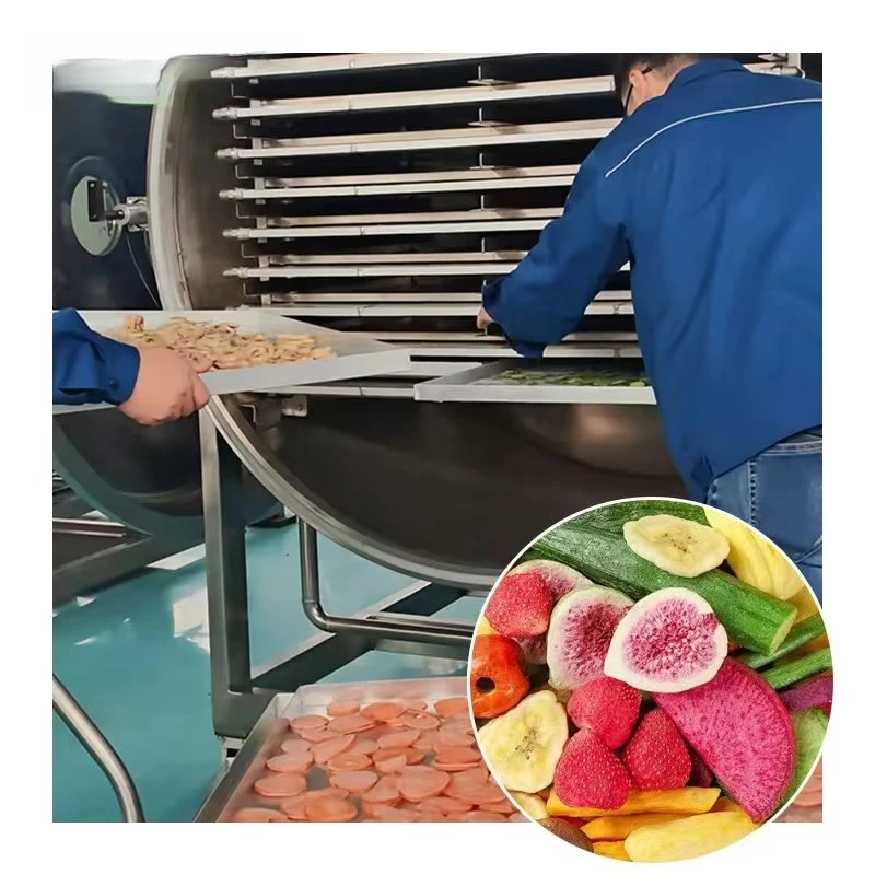 CE Industrial Lyophilizer Freeze Dryer for Mangoes Peas Carrots Scallions Cilantro Ready-to-eat Soups Staple Foods Porridge - view 2