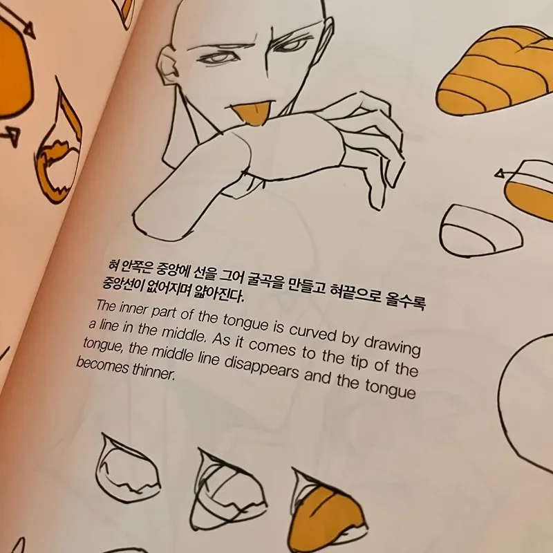 Figure Drawing Human Anatomy Atlas Figure Drawing Workbook: Secret Character Drawing, Improve Your Artistic Skills Book