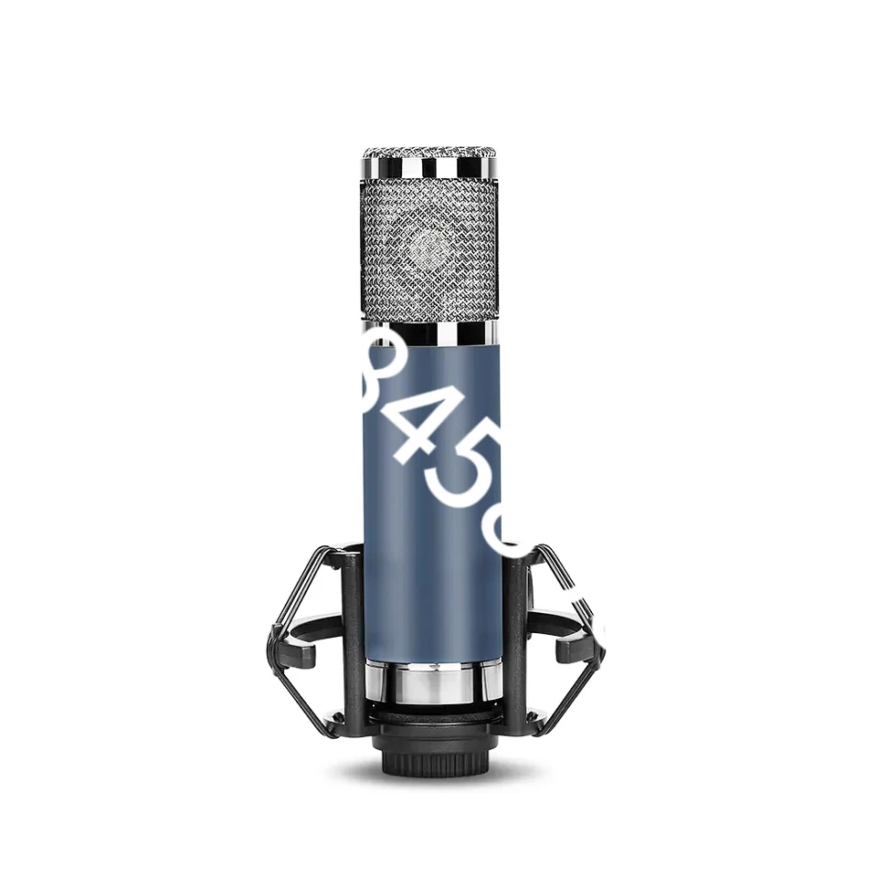 

OEM V11 Professional Wired Microphone Studio Recording 48V Condenser Mic for Gaming Studio