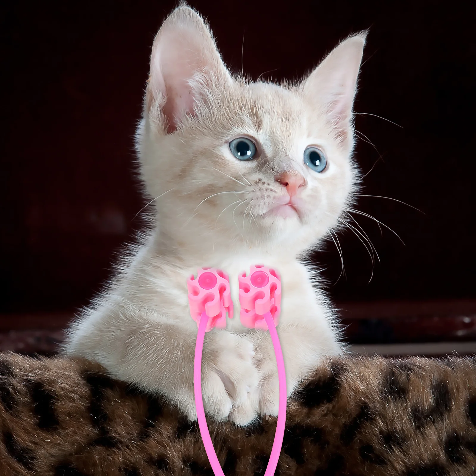 Cat Massage Roller Smooth Surface Pet Grooming Tool For Neck Face Legs Stomach Relaxation Rolling Design For Cats Dogs