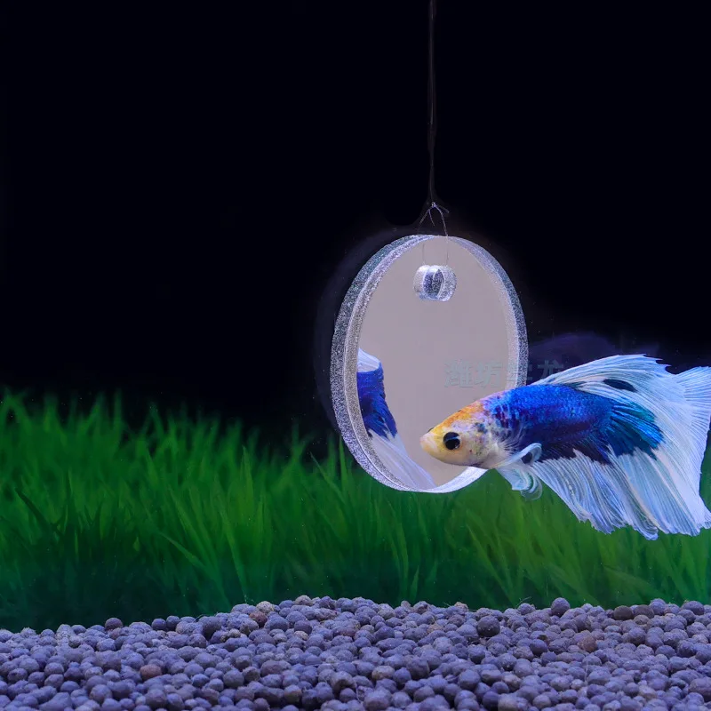 1set- Fish Exercise Mirror Promotes Natural Territorial Behaviors for Aquarium Betta Fish Toy Reduces Boredom