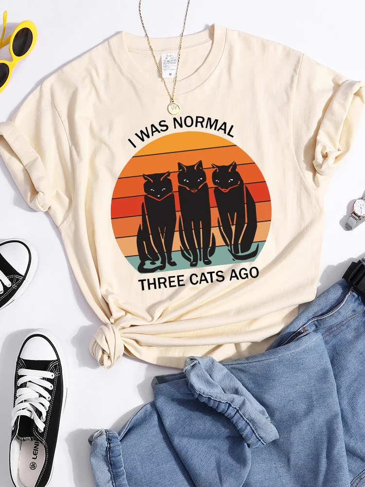 I Was Normal Three Cats Ago Retro Sunset Tshirt Women Summer Breathable T Shirt Hip Hop Casual Cool Crop Top Soft Street Clothes