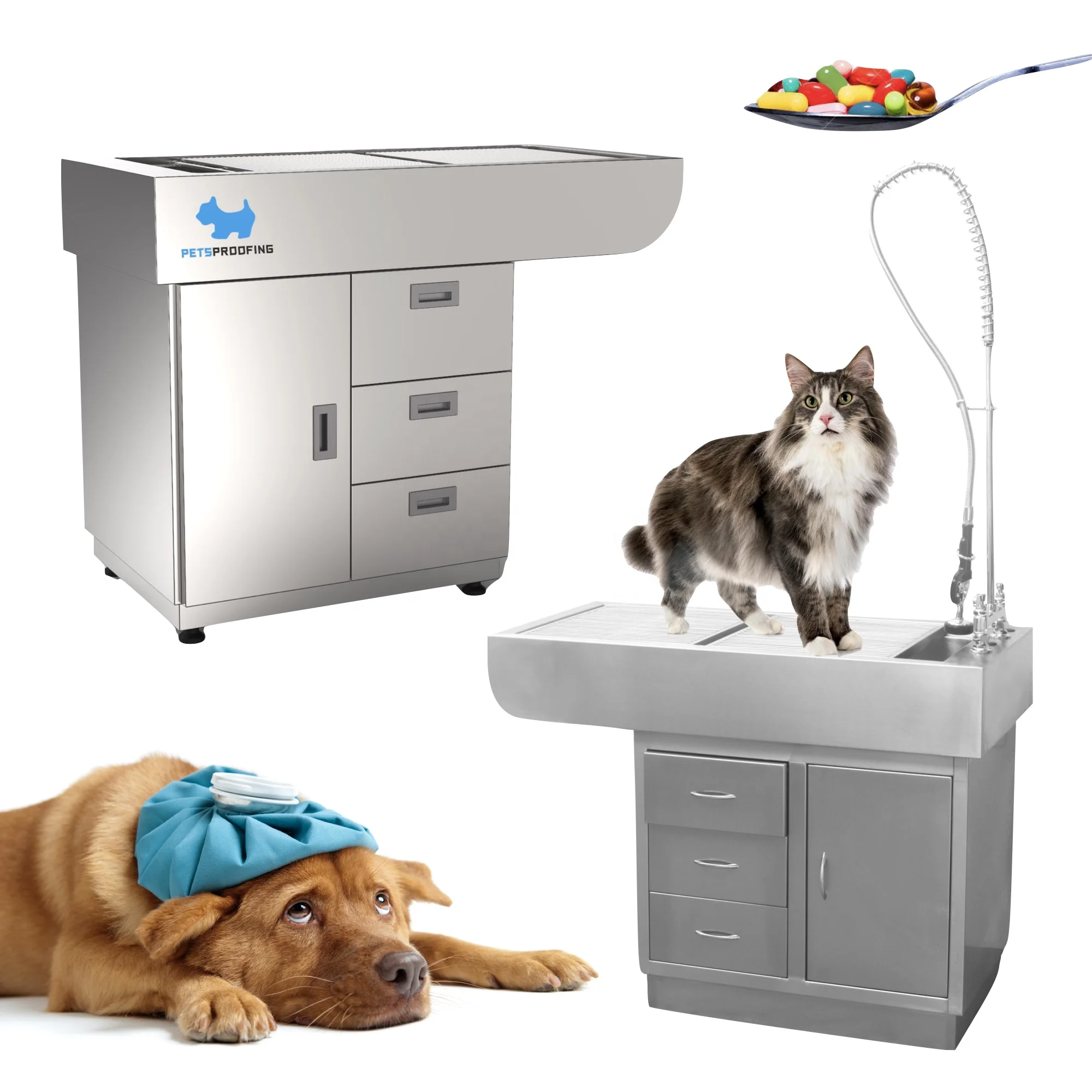 

Veterinary Machine Multifunctional Medical Machines Denal Disposal Table Veterinary Equipment Stainless Steel Case