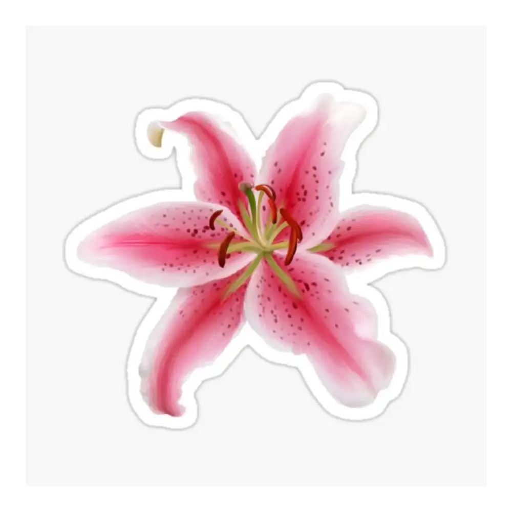 Stargazer Lily Sticker Car Window Bumpers Die-cut Vinyl Stickers Decorative Accessories