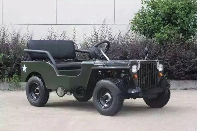 مدرب لمشاهدة معالم المدينة الكهربائية للبالغين، دراجة نارية ذات أربع عجلات على الطرق الوعرة، سباق سيارات المزارع ATV