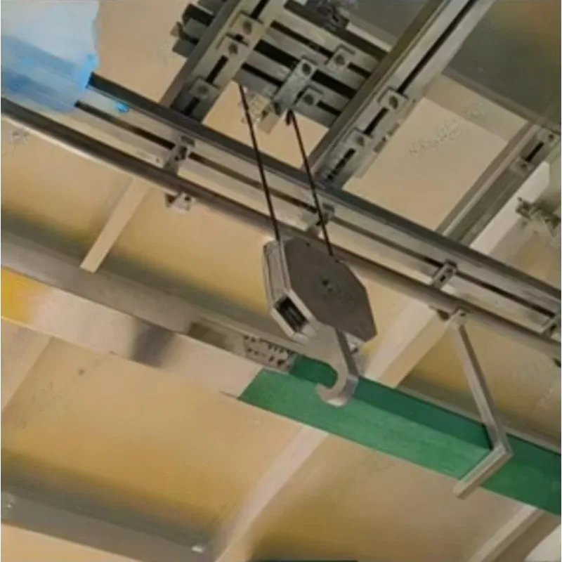 

Электрическая подъемная таль по индивидуальному заказу 1000 кг для убоя положения коров из крупного рогатого скота