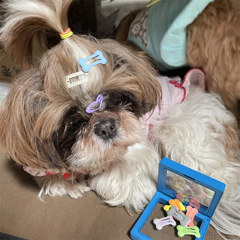 Teile/satz Knochen Form Haustier Hund BB Clips Niedlichen Hund Haar Clips Haarnadel Welpen Katze Hund Pflege Zubehör – Detail 8
