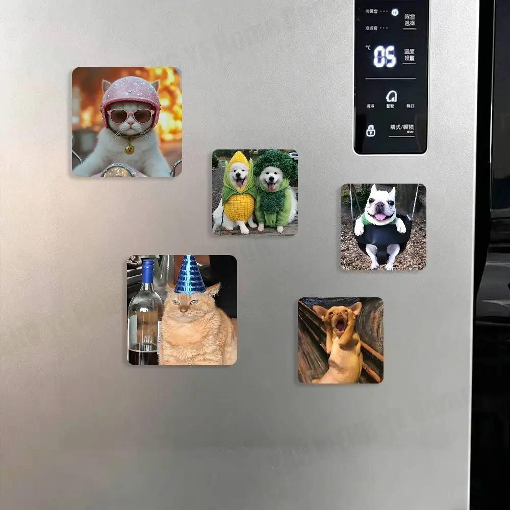 

Funny Animal Refrigerator Magnets, the Perfect Choice for Home, Create a Warm and Cozy Home Decor Gift