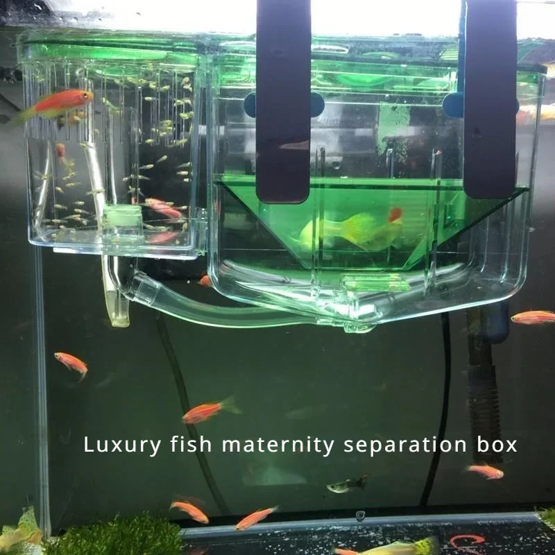 Automatic Circulating Fish Breeding Isolation Box Nursery for Aquarium, Hatchery for Baby Fishes, Shrimp, Clownfish, and Guppy