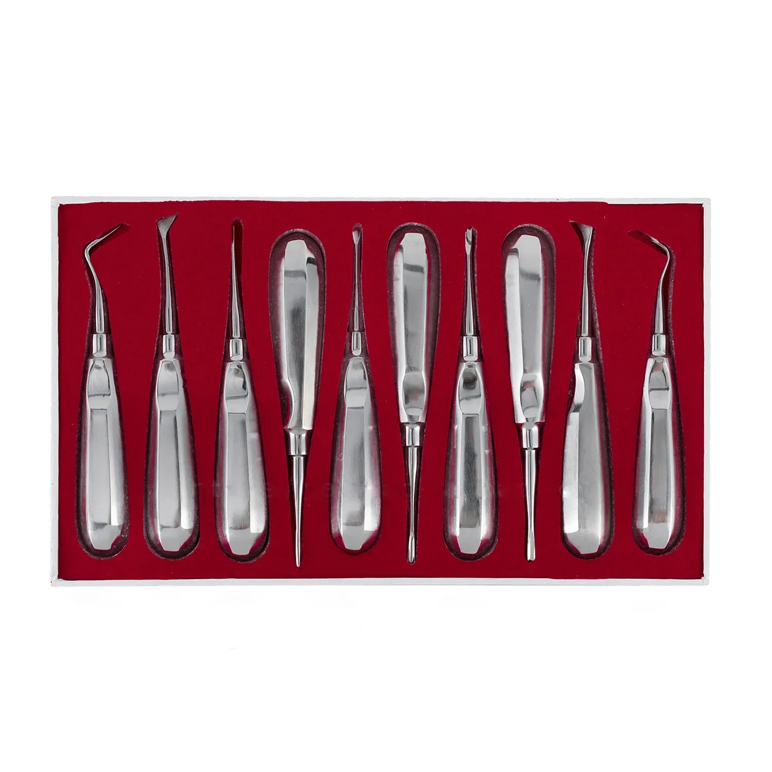 10pcs/set Dental Orthodontic Root Elevator Stainless Steel Head Curved Pen Tool Dentistry Dentist Instrument dental tool