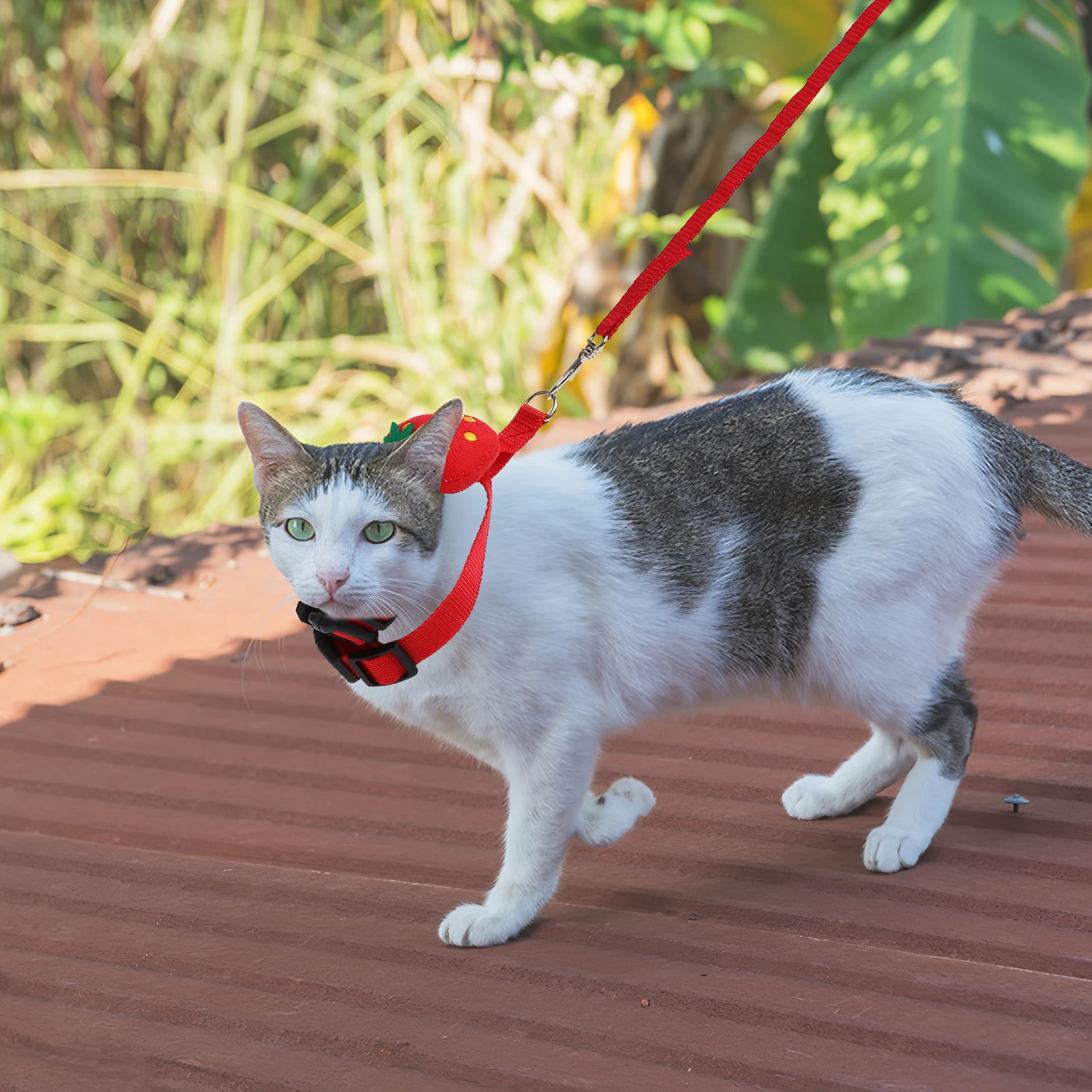 

2 set Pet Harness Leash Set Adjustable Small Pets Traction Rope Rabbit S Size Strawberry Carrot Guinea Pig Bunny Kitten Walking