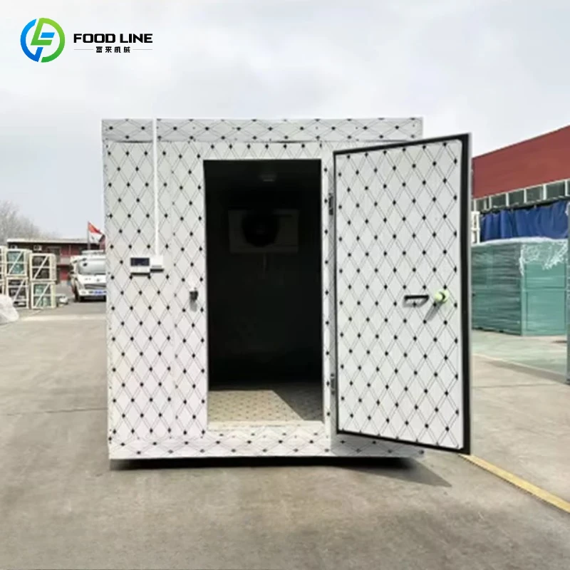 Customized Portable Mobile Cold Room Build Refrigeration Walk-in Freezer Room with Compressor Accurate Temperature Control