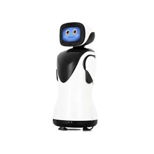 Micity Robot New Trendy Auto Charge Artificial Intelligent Humanoid Robot Welcome robot AI Server