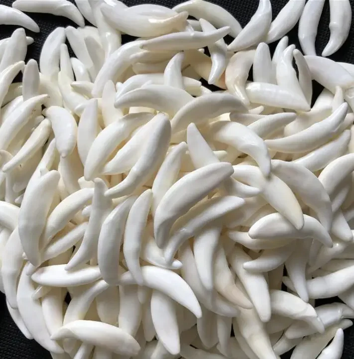 #27 Latest Pendant Charm Bracelets Offers