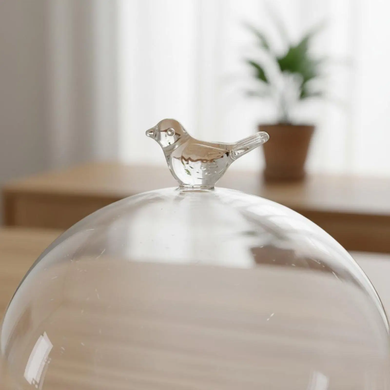 Premium Borosilicate Glass Cover for DIY Craft Candle Holder Decorative Dome for Tabletop Ornament Display