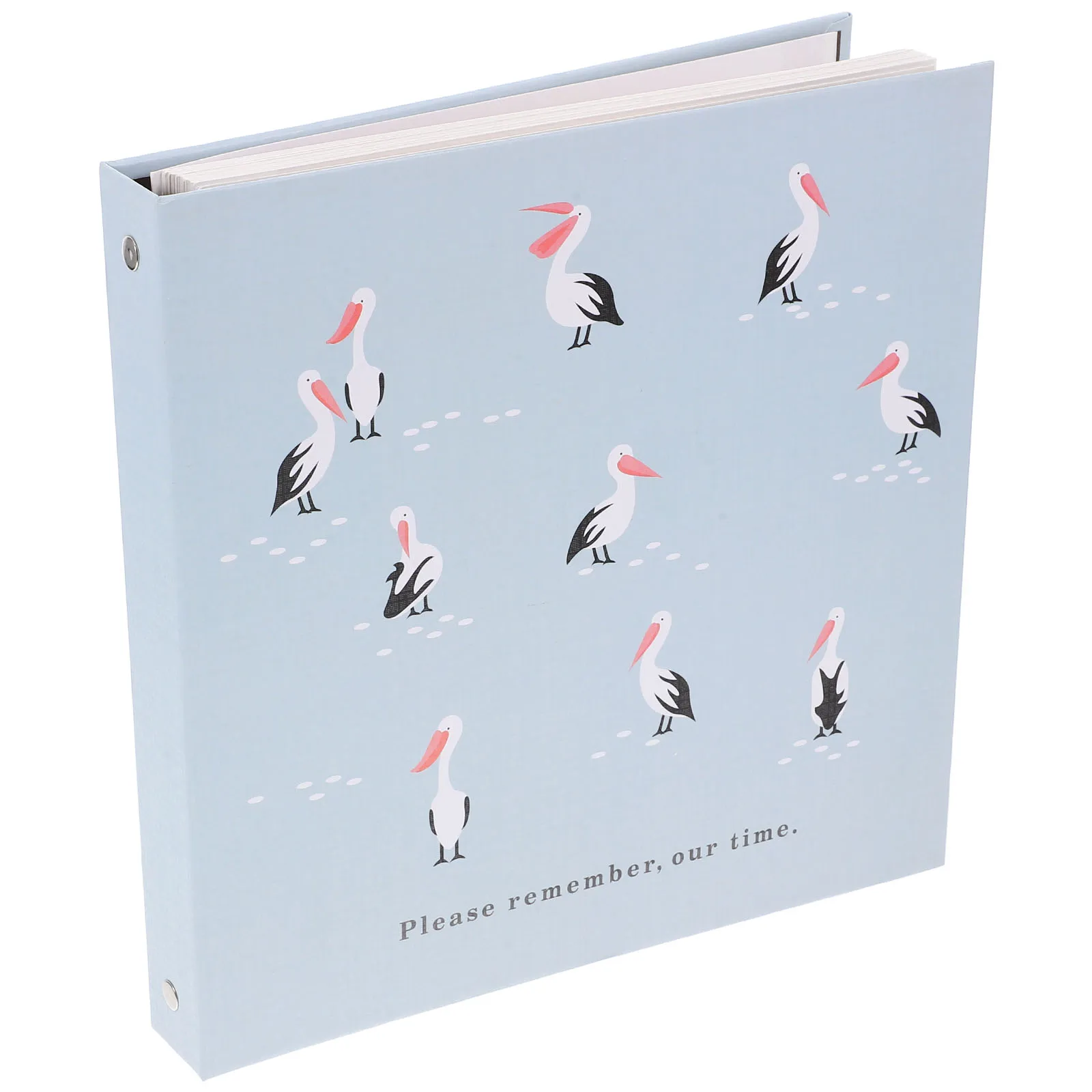 อัลบั้มเก็บดอกไม้แห้งอเนกประสงค์ กล่องเก็บตัวอย่างพืช ดีไซน์สะดวกสบายสำหรับการเดินทางเพื่อธุรกิจ ปลอดภัย