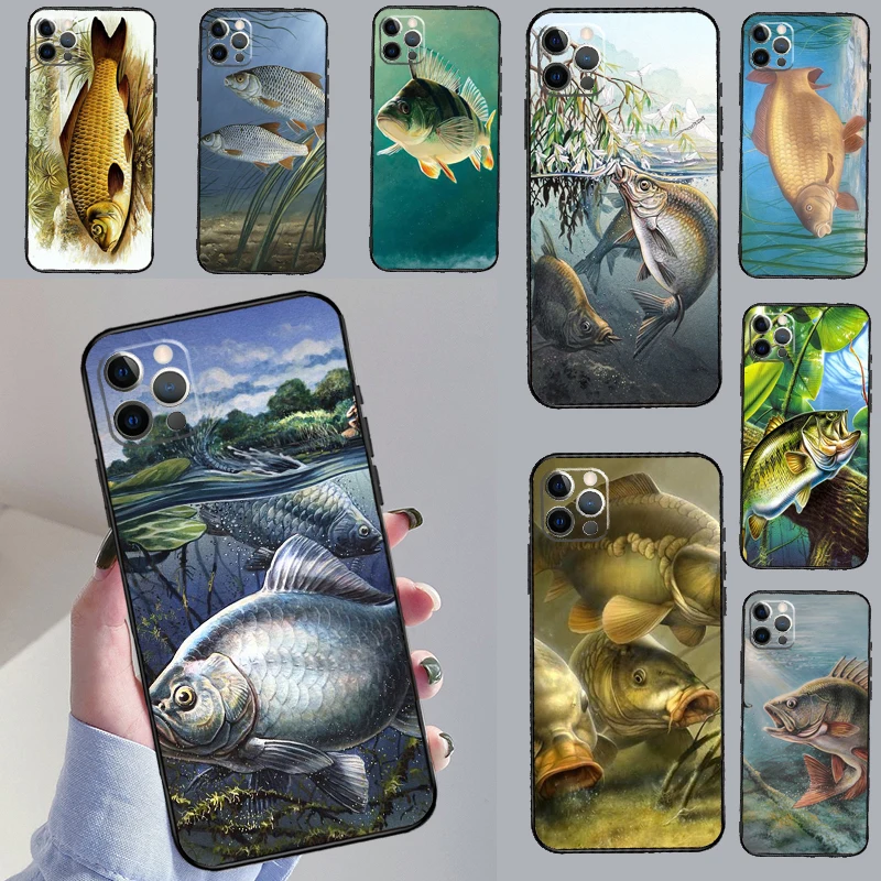 Carp Fishing Fish C… - image