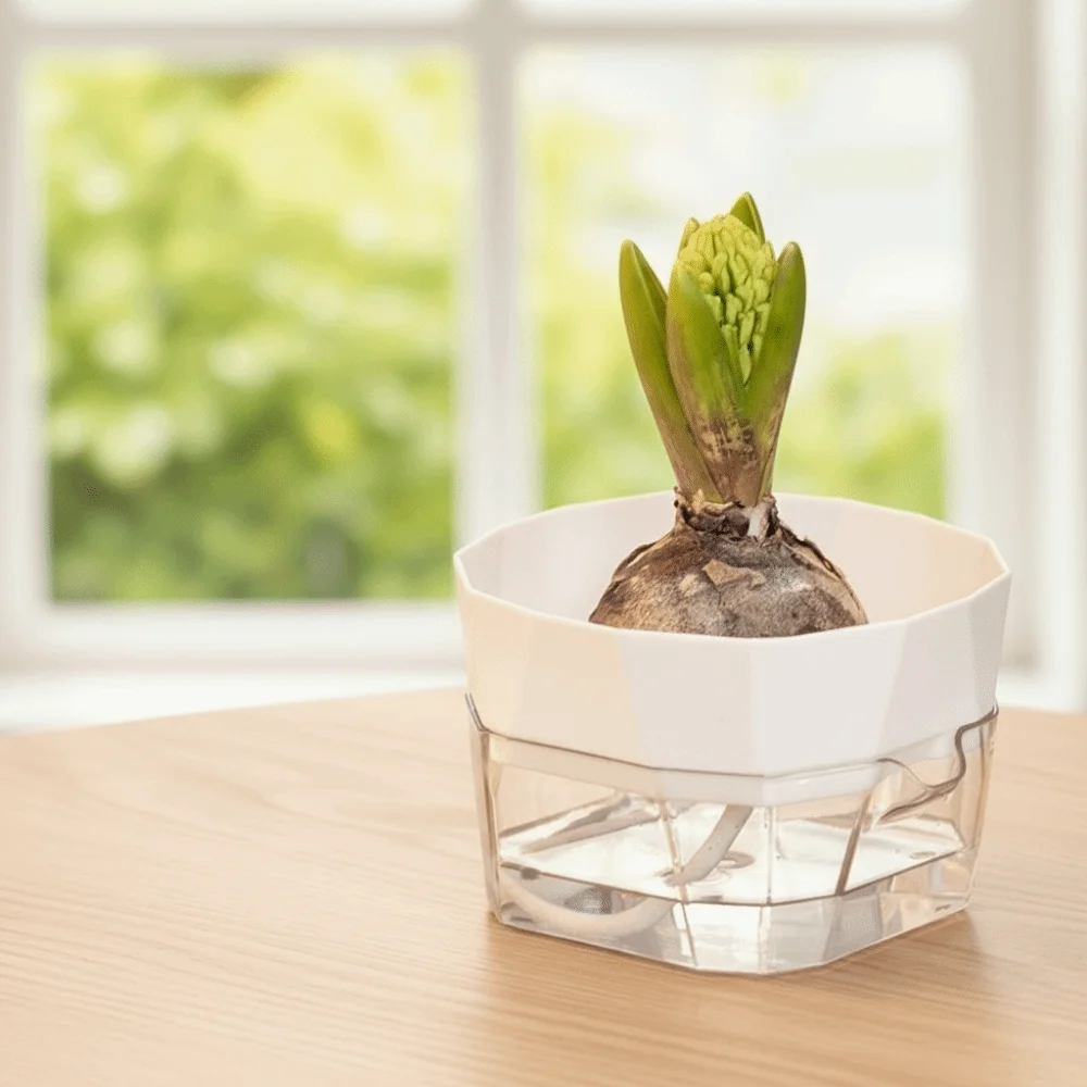 6PCS Root Visibility Hydroponic Container Water Storage Plastic Self-Absorbing Flower Pot Eco-Friendly Tulip Flower Pot