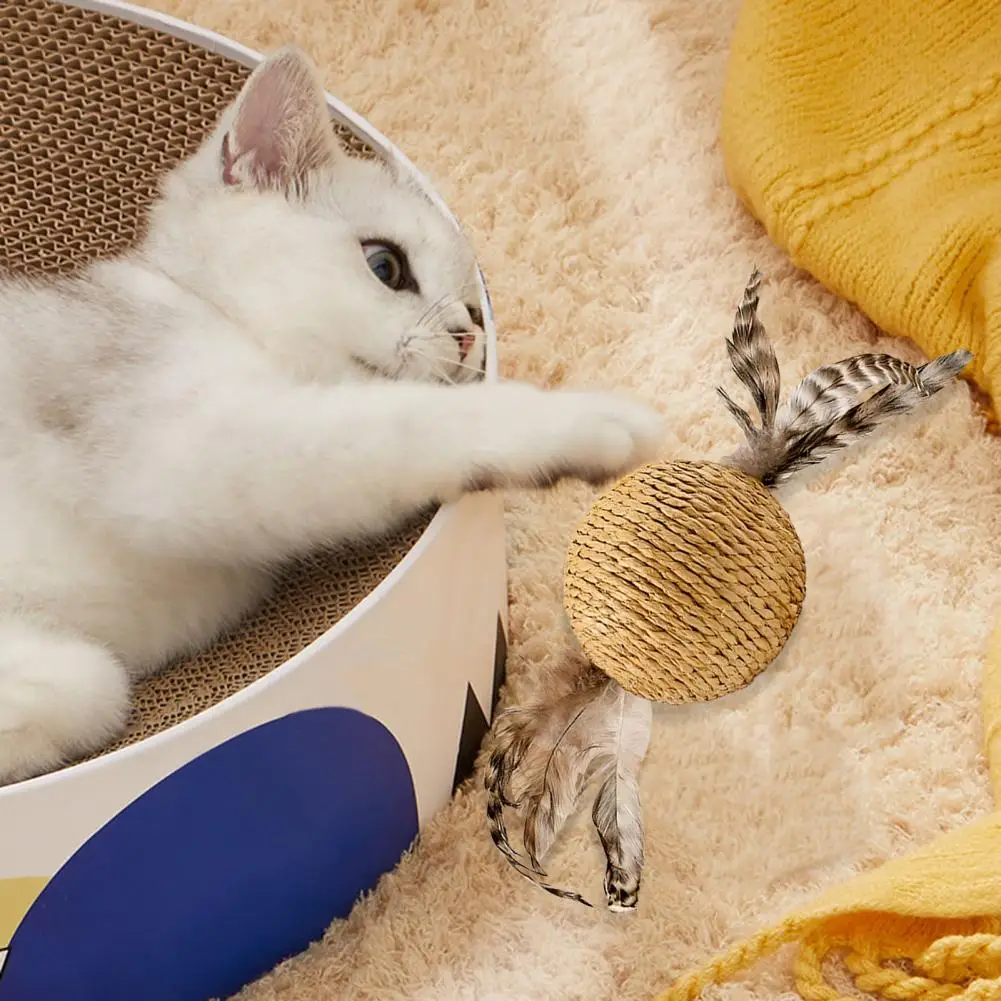 Jouet pour chat avec plumes, jouet pour chat avec plumes, boule à gratter en Sisal avec plume pour dents de chaton, Anti-morsure pour ludique